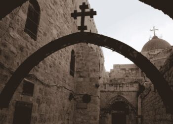 I risultati del nostro “Progetto Gaza” (ottobre 2024 – marzo 2025)